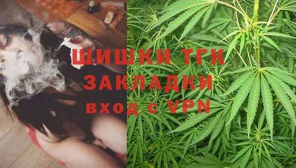 бошки Богданович