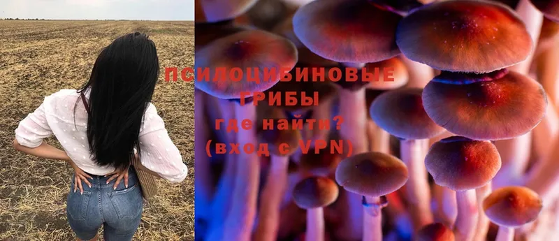 мега зеркало  Енисейск  Галлюциногенные грибы Psilocybine cubensis 