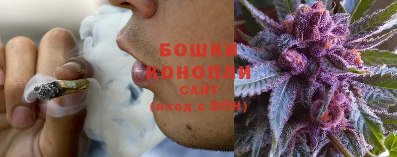 Бошки Шишки LSD WEED  как найти закладки  Енисейск 